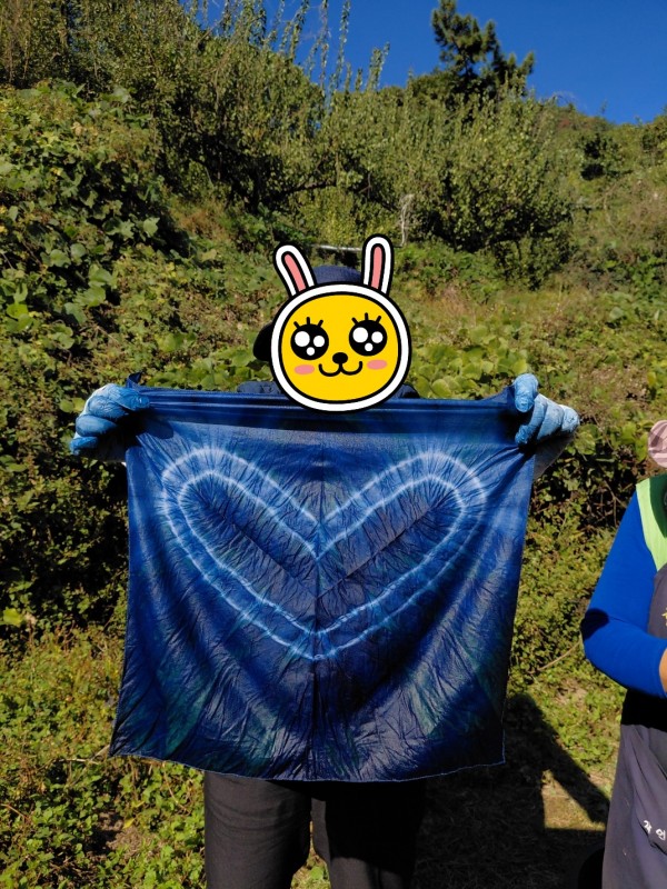 d50c2112873d120607ffb870ad6ddda5_1762080