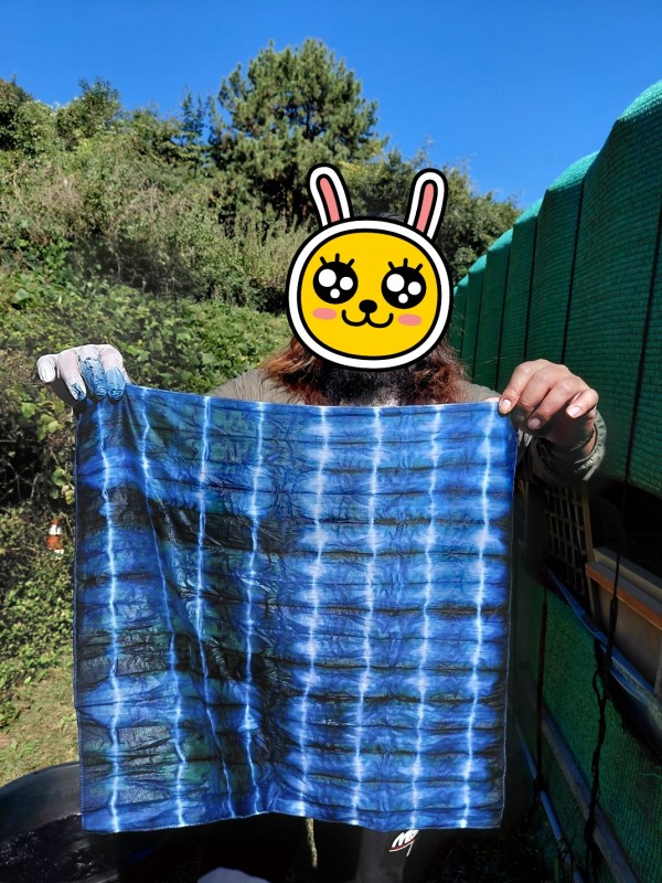 d50c2112873d120607ffb870ad6ddda5_1762080