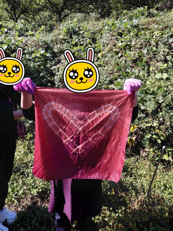 d50c2112873d120607ffb870ad6ddda5_1762080