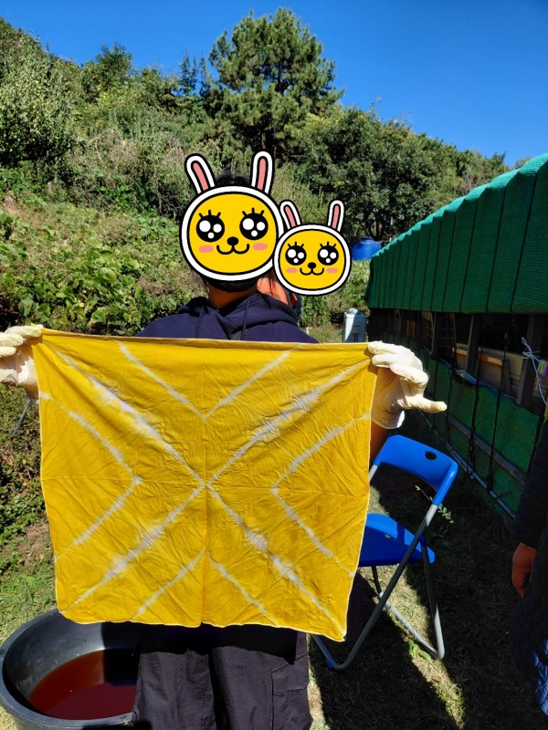 d50c2112873d120607ffb870ad6ddda5_1762080